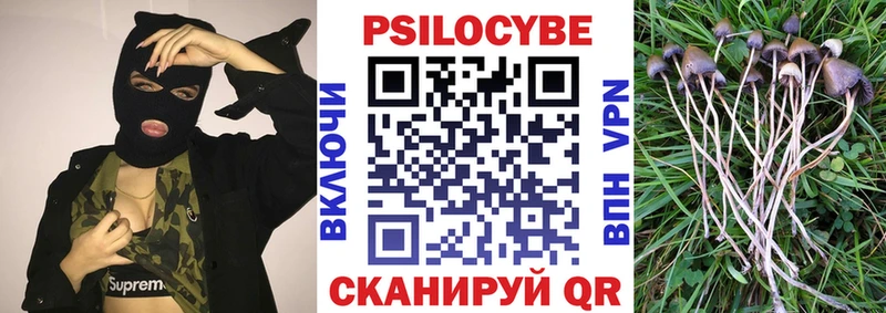 наркошоп  KRAKEN ONION  Галлюциногенные грибы Cubensis  Сокол 